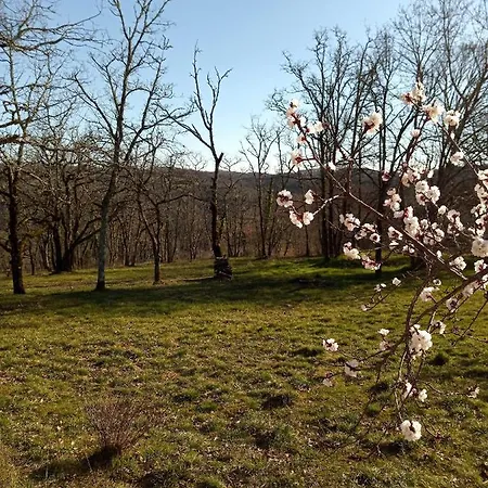 Holiday home Location Proche Gourdon Saint-Cirq-Souillaguet