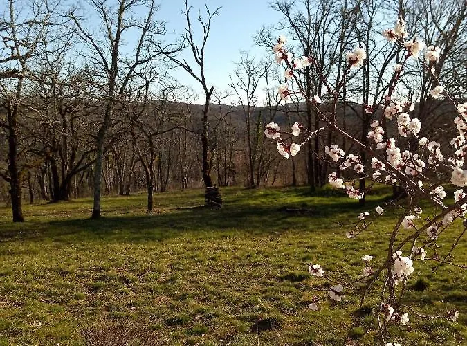 Σπίτι διακοπών Location Proche Gourdon Saint-Cirq-Souillaguet